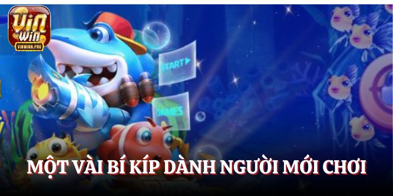 Một vài bí kíp dành người mới chơi bắn cá VINWIN