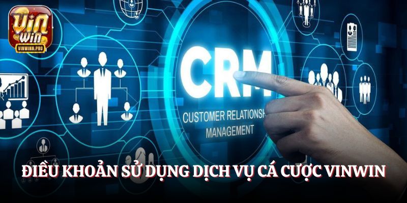 Điều khoản sử dụng dịch vụ cá cược tại Vinwin