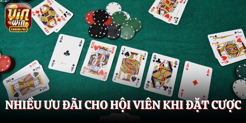 Nhiều ưu đãi cho hội viên khi đặt cược